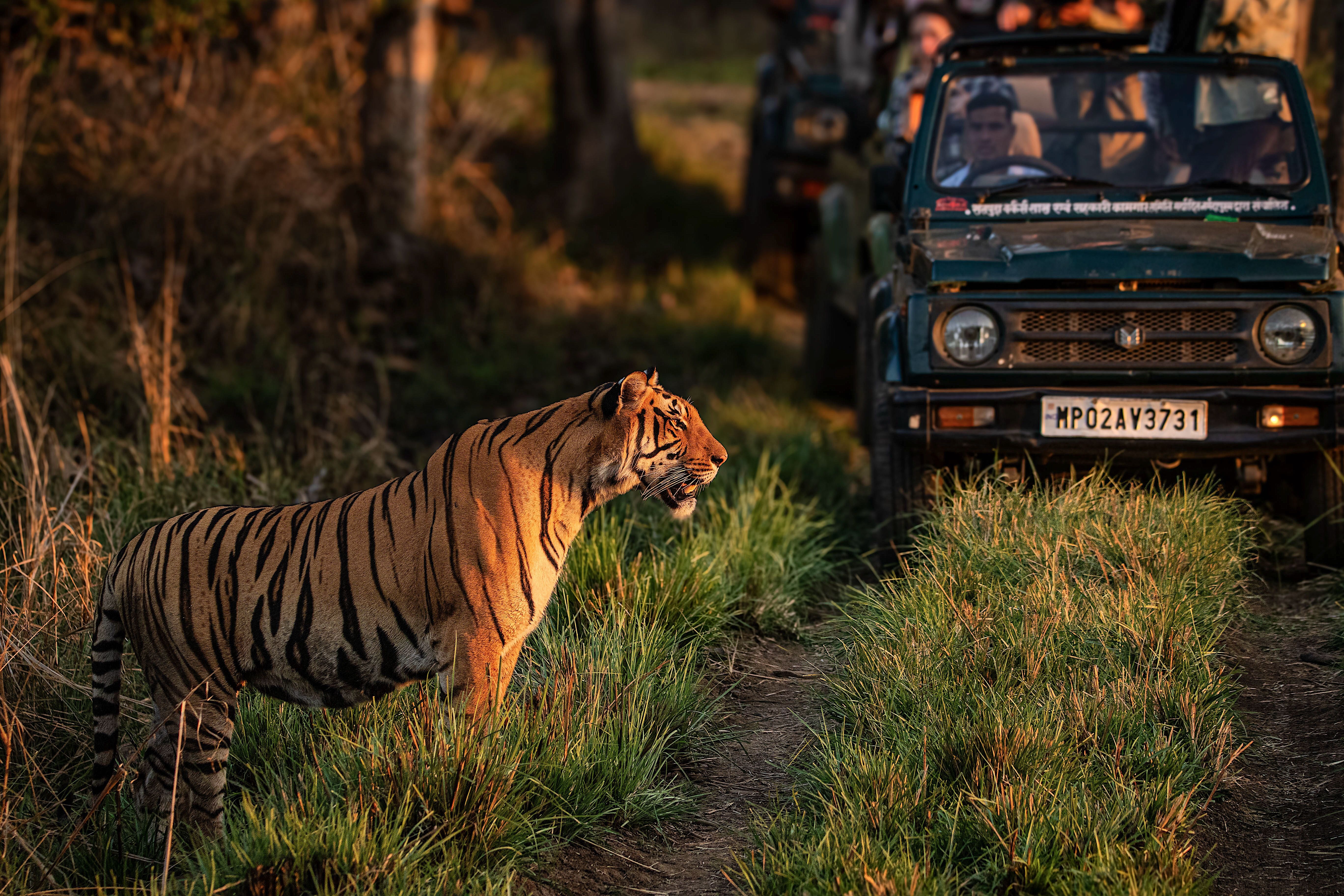 MYSTERIES OF INDIA