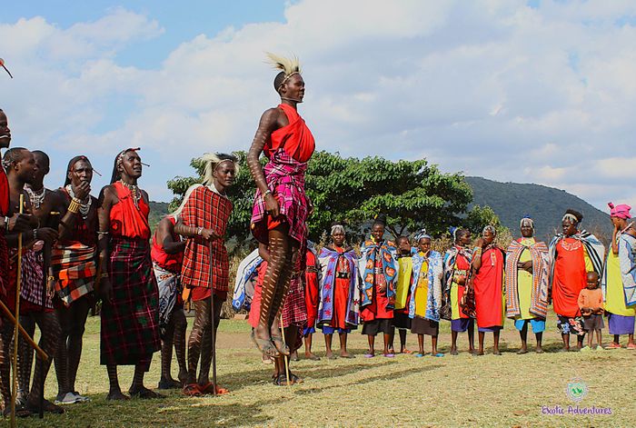 Kenya & Tanzania Wildlife Observation/Photography Tours