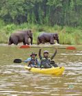 River Kayaking & Camping Expeditions in Sri Lanka