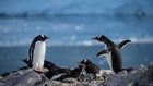 Antarctica. Follow your curiosity.