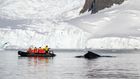 Antarctica. Follow your curiosity.
