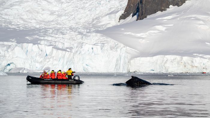 Antarctica. Follow your curiosity.