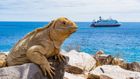 Galápagos Islands. Walk in Darwin's footsteps.
