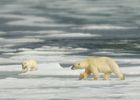 Svalbard. A million miles from ordinary.