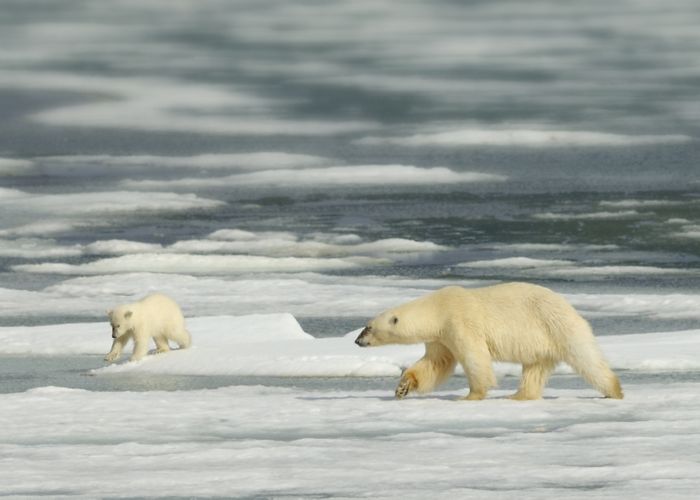 Svalbard. A million miles from ordinary.