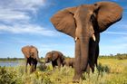 Best of East Africa 11 Days
