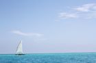 Tanzanian Game Parks and Zanzibar