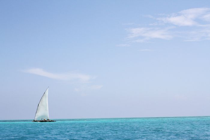 Tanzanian Game Parks and Zanzibar