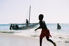 Gorillas, Game Parks and Zanzibar