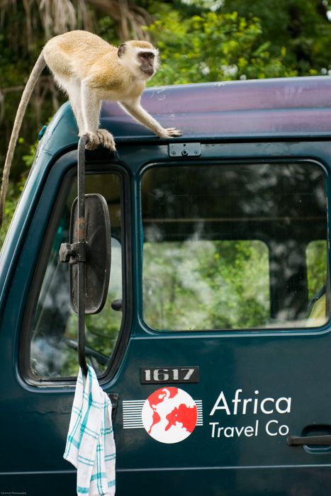 Victoria Falls to Windhoek