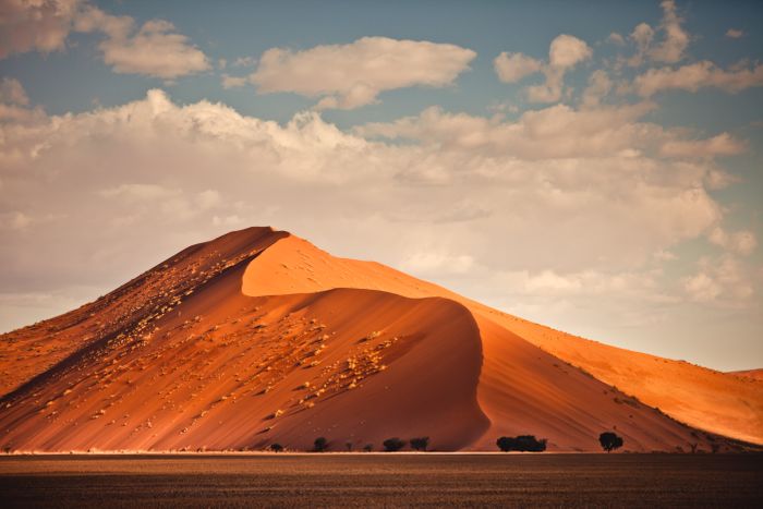 Namibian Explorer