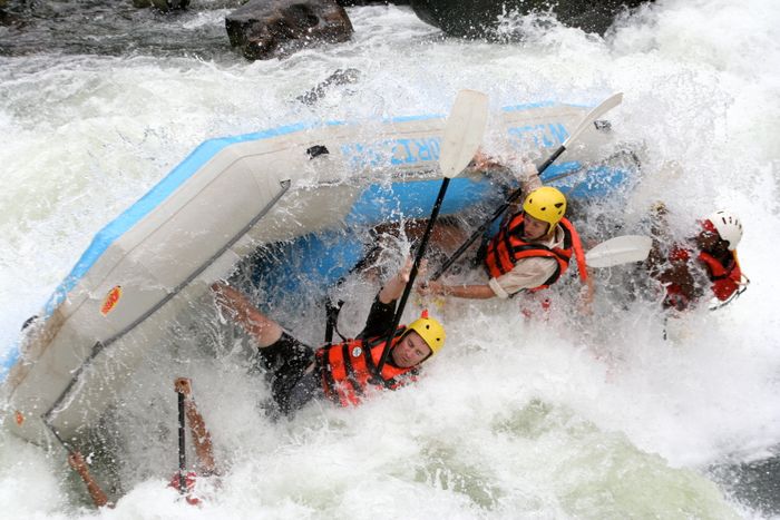 Journey to the Falls