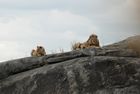 Southern Trek