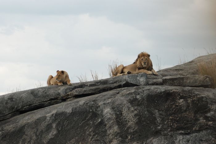 Southern Trek