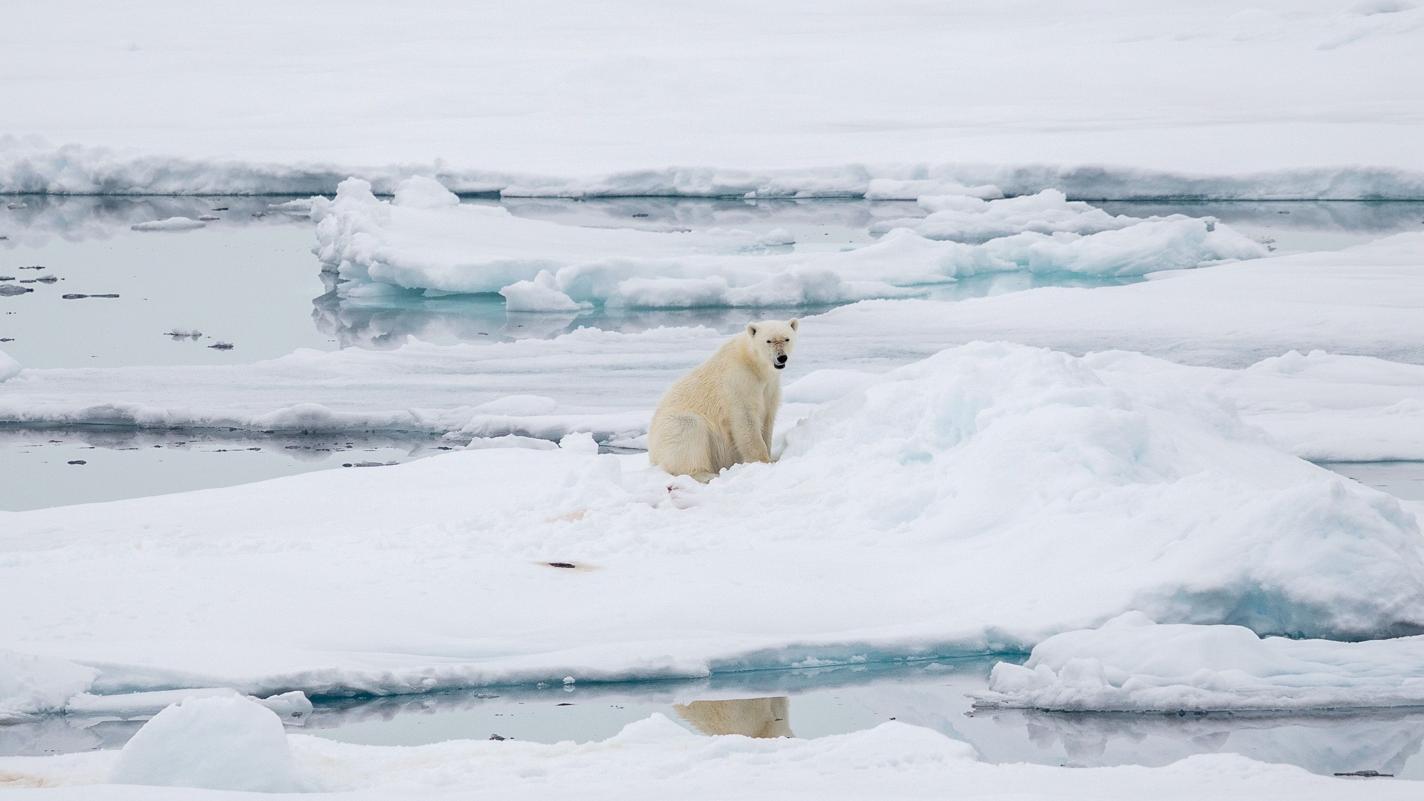 Svalbard Circumnavigation