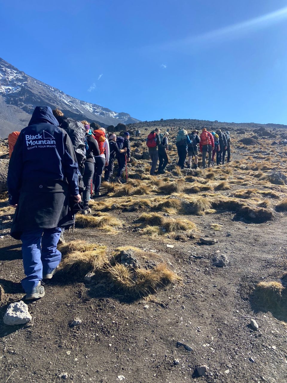 Kilimanjaro Treks