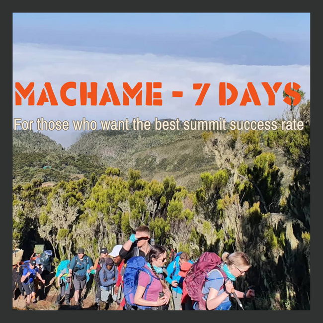 Kilimanjaro Machame Route (7 days)