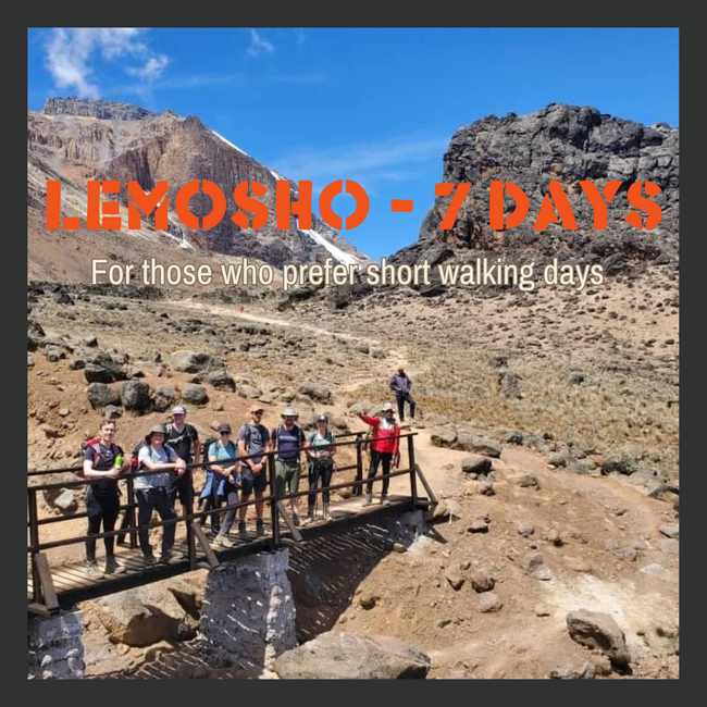 Kilimanjaro Lemosho Route (7 Days)