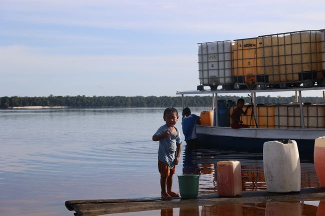 The amazon basin