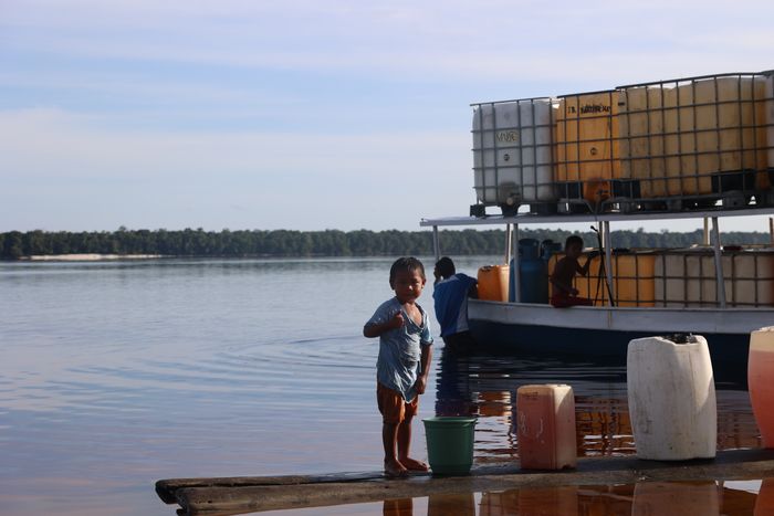 The amazon basin