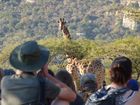 Angus Wingfield / Africa Wild Trails