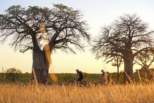 Botswana - Tuli Trail