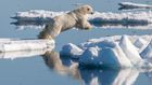 The Nordics - Greenland, Bothnian Coastal Route (Sweden & Finland), The Arctic Route & Svalbard (Norway), The Faroe Islands