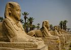 North & East Africa - Egypt, Ethiopia