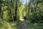 NEW! Walk the Gorges du Tarn