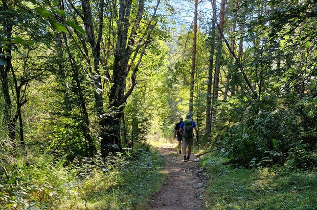 NEW! Walk the Gorges du Tarn