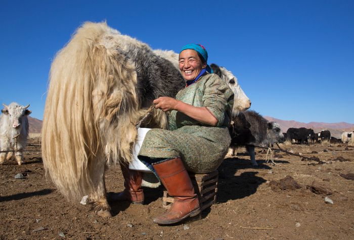 Mongolia