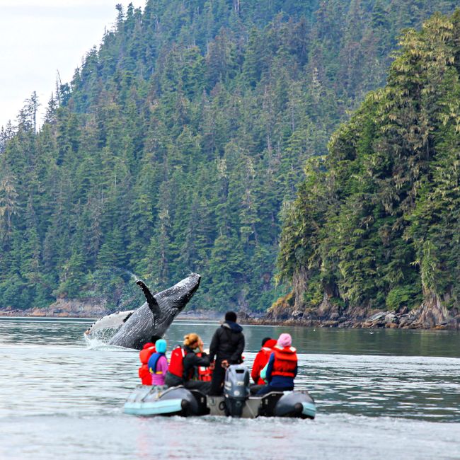 Alaska small ship cruising