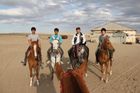 AHALTEKE HORSE