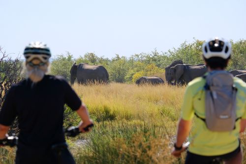 Botswana - Tuli Trail