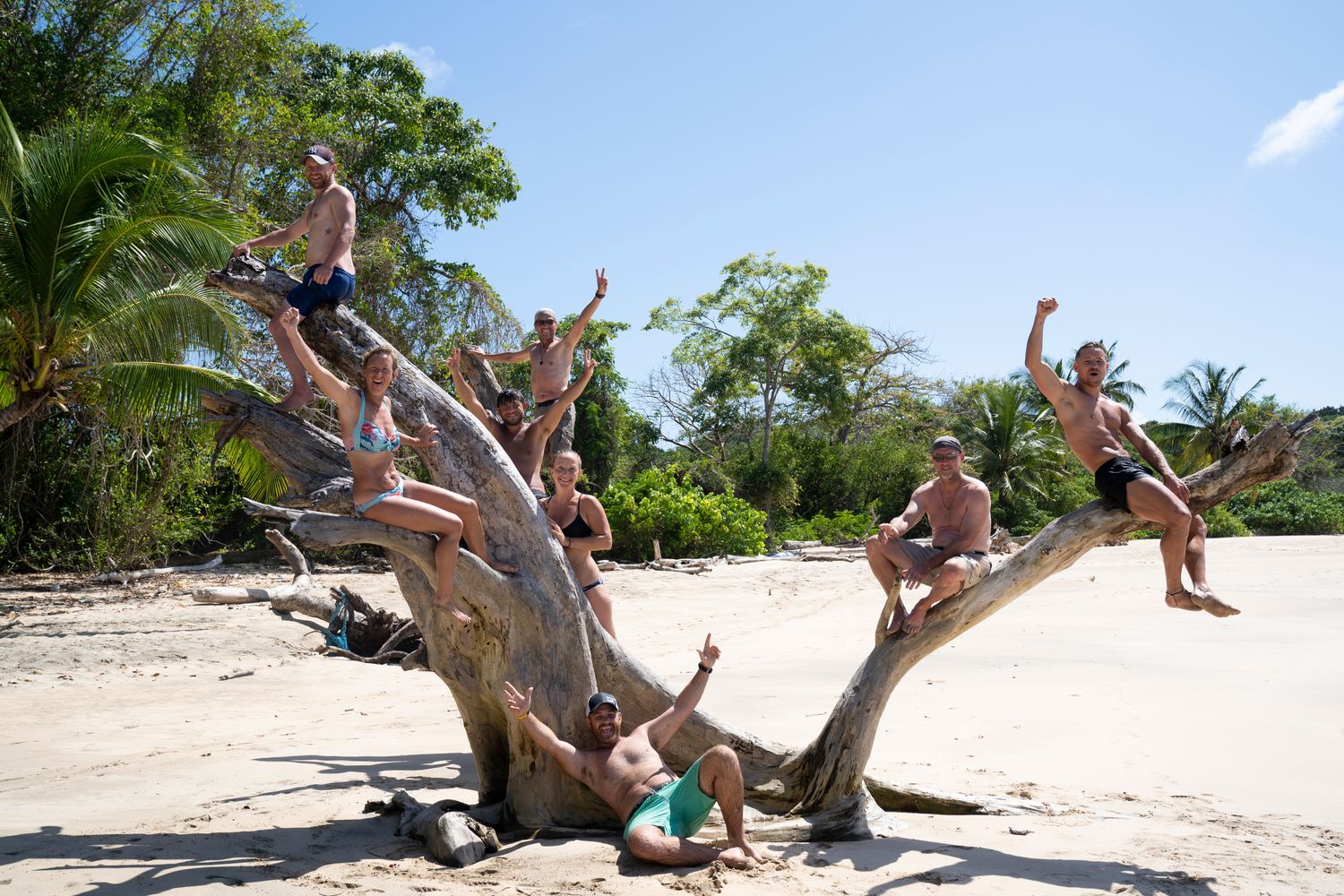 Desert Island Survival