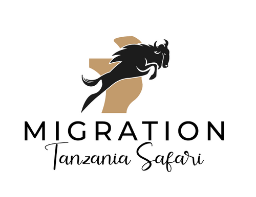 Migration Tanzania Safaris