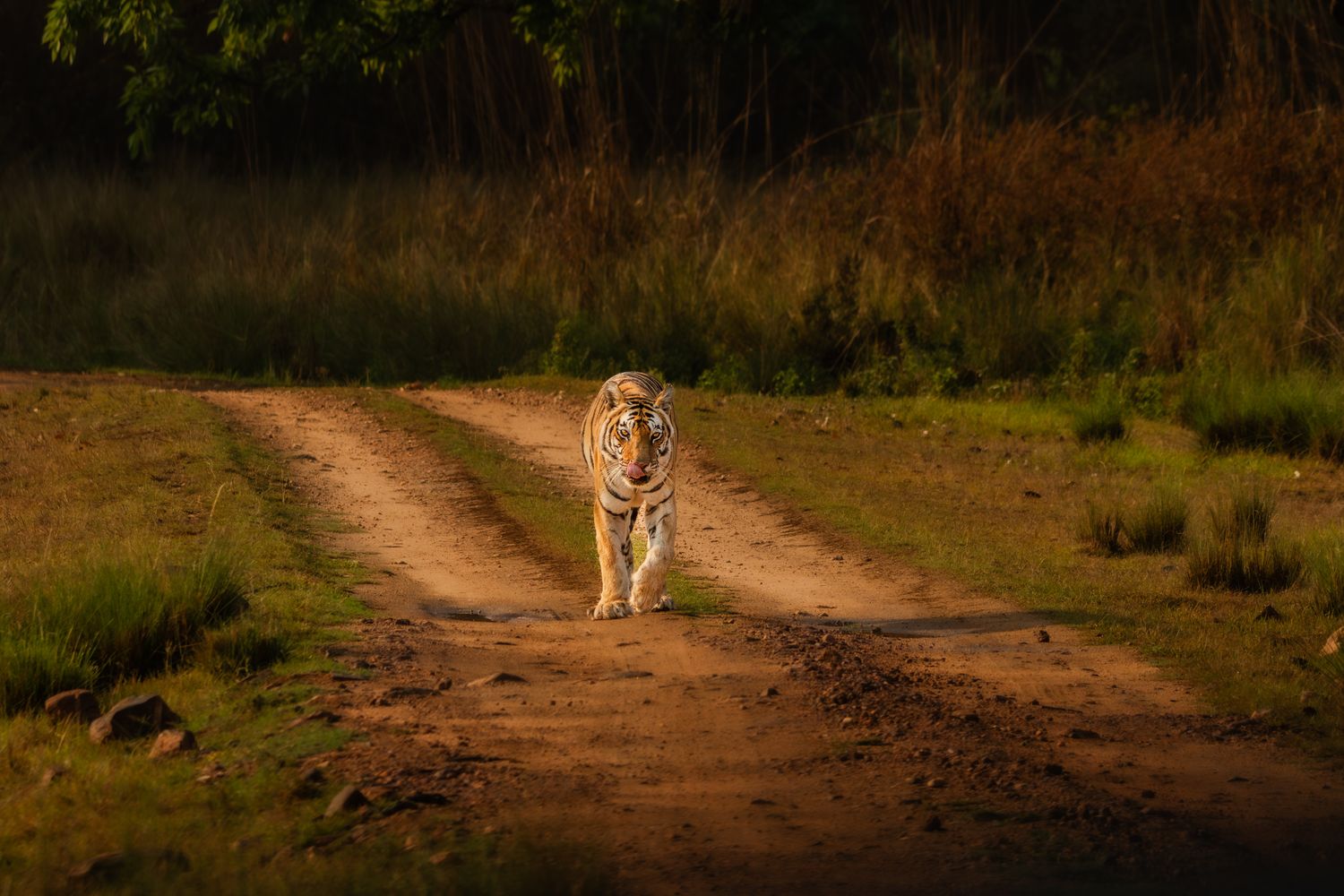 Mysteries of India