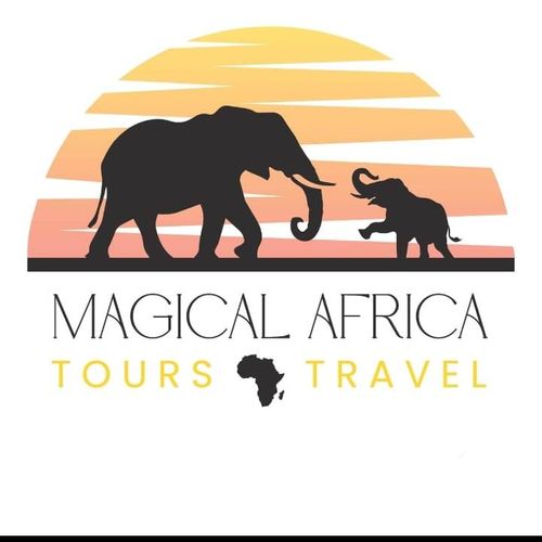 Magical Africa Tours & Travel 