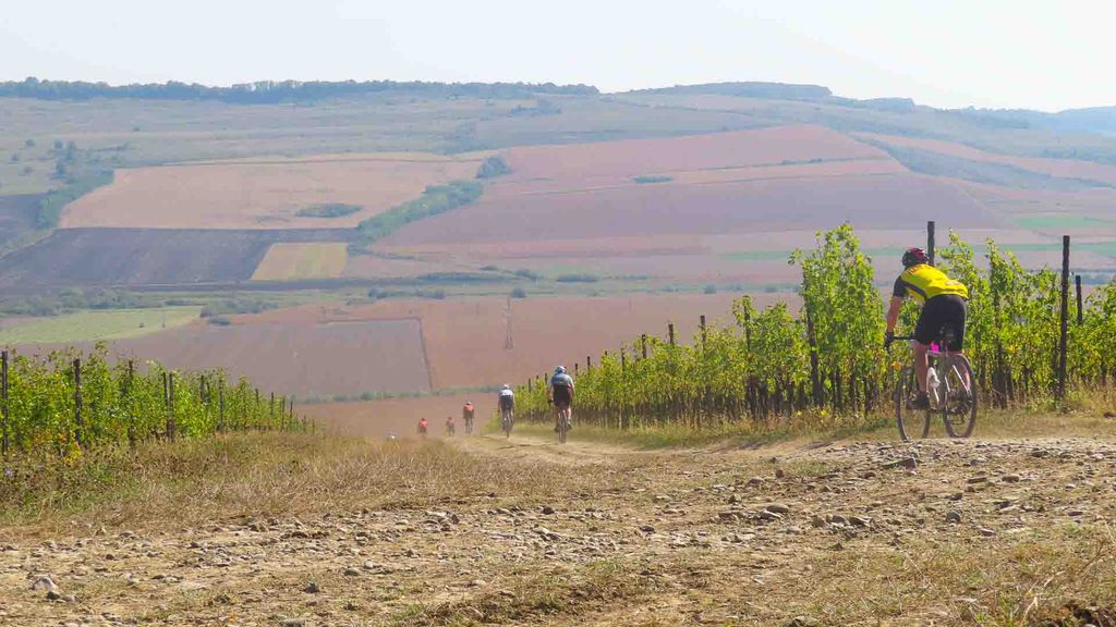 Exploring Vineyards in Romania (photo credit: Bike in Time)