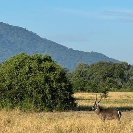 Malawi