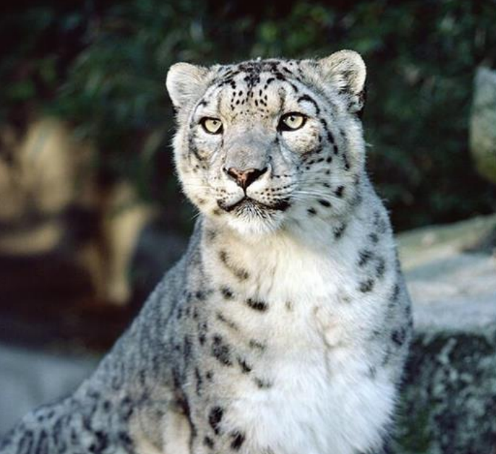 Indian Hidden Trails, High Thrills & Untapped Landscapes