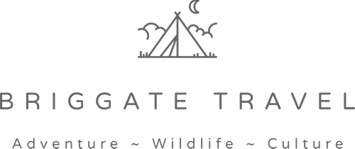 Briggate Travel Launch