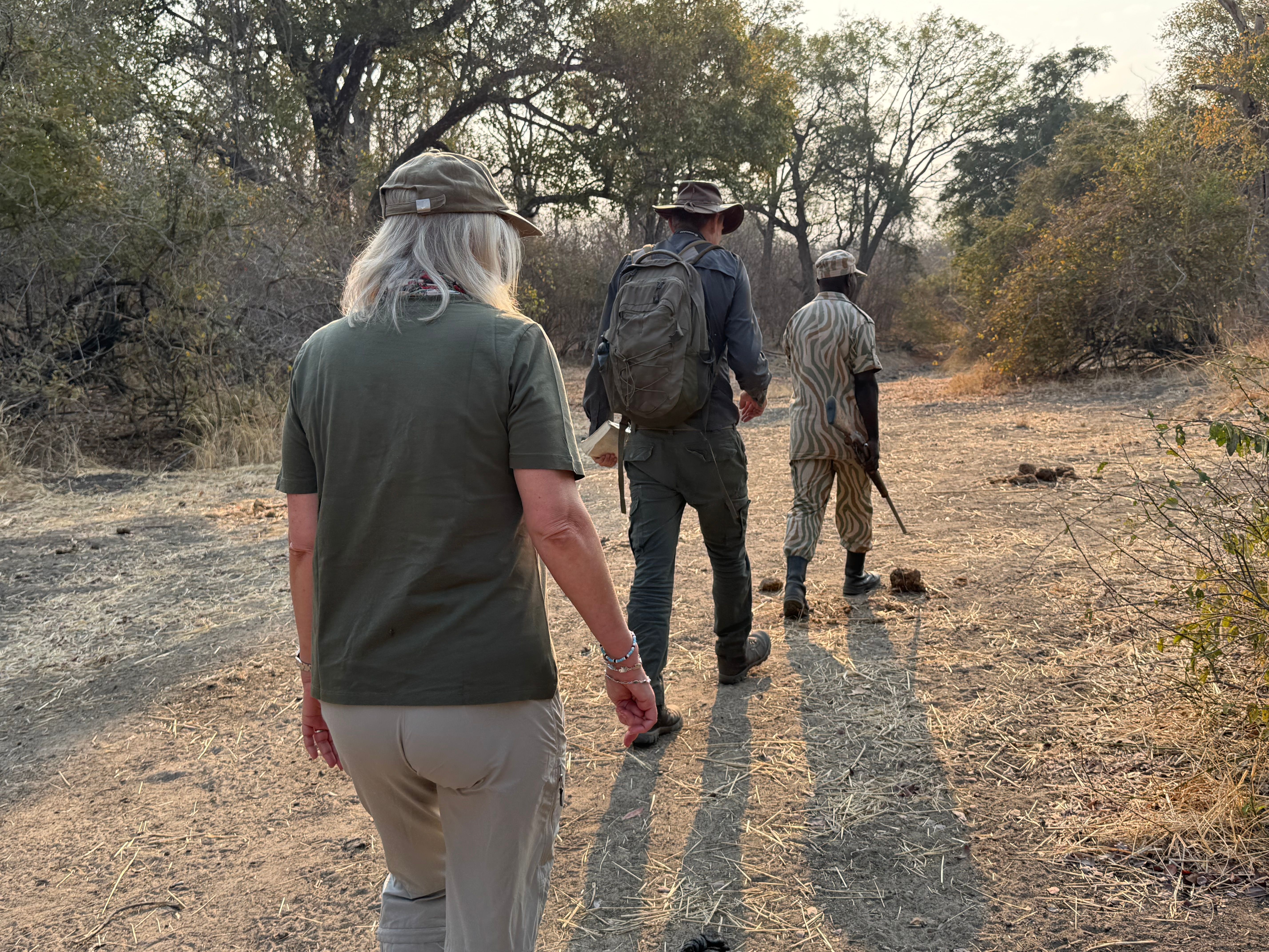 Take a walk on the wild side