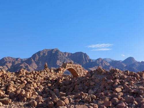 Down to Earth Travel