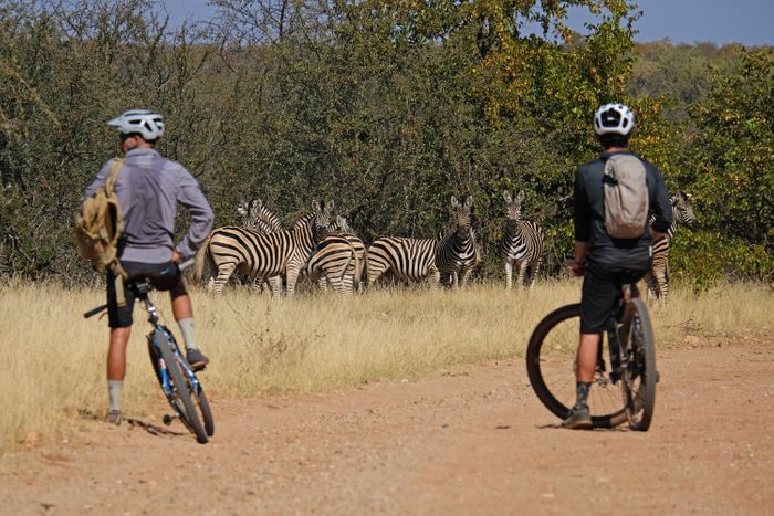 Botswana - Tuli Trail