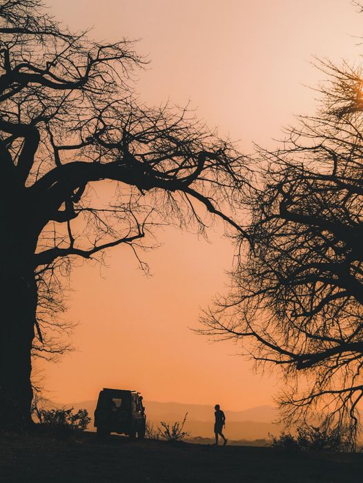 Manapools.com Glamping Safaris