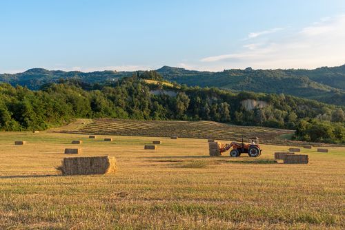 The Path of Wool and Silk - Self-guided holiday
