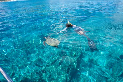 Snorkeling in Seychelles