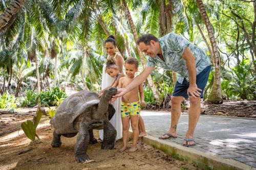 Seychelles Giant Tortoise