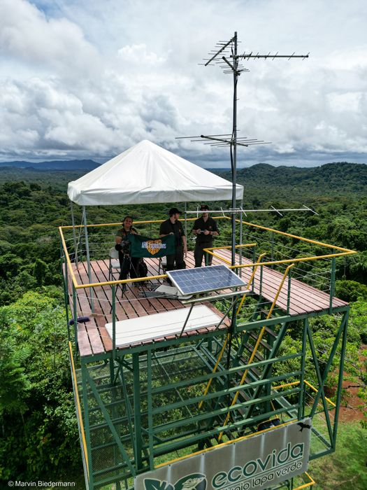 Birdwatching above the canopy in Costa Rica